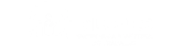 D'Lopes Engenharia e Medicina do Trabalho